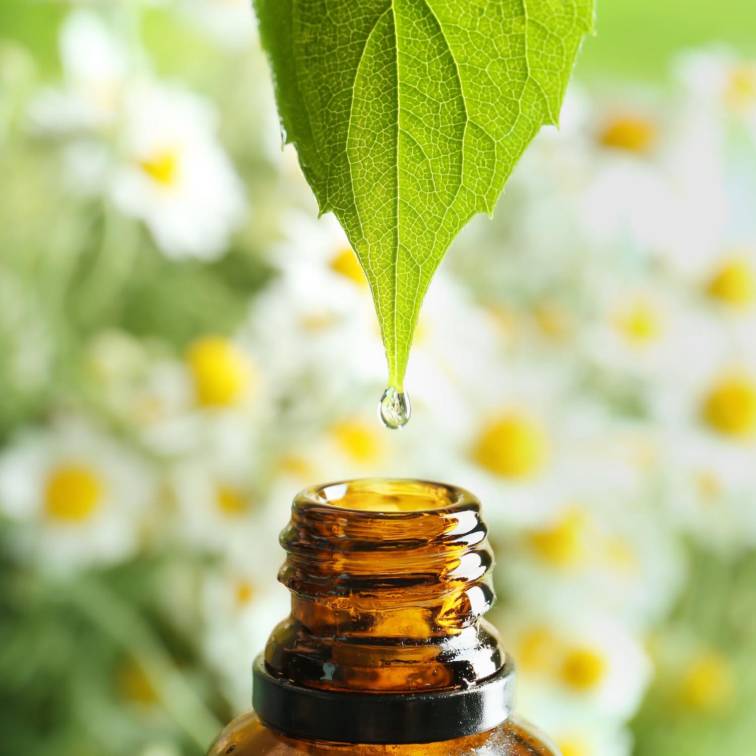 Aromathérapie et huiles essentielles, Pharmacie Saint Jacques, Beaune